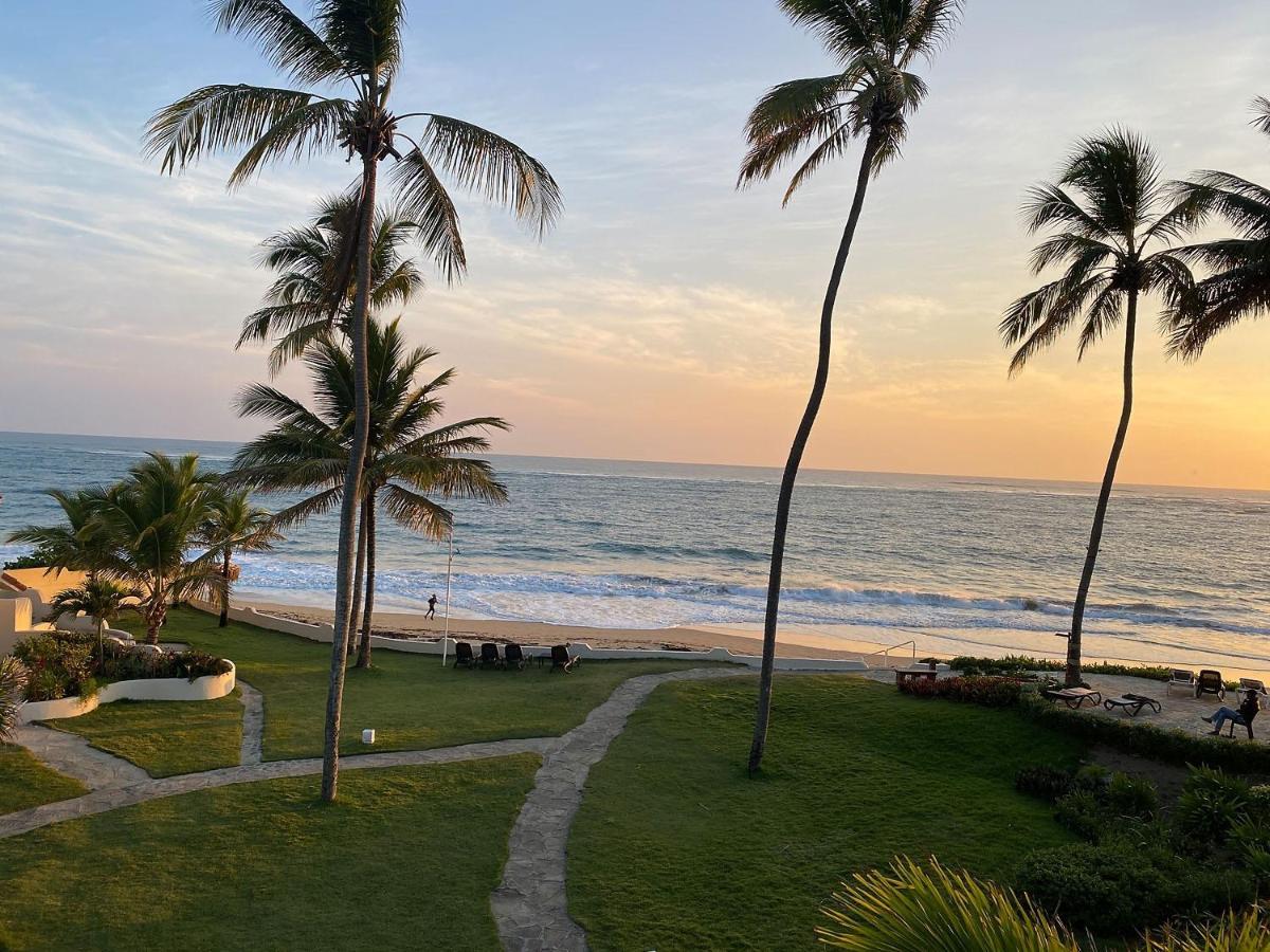 Cabarete Beachfront Condos At Nanny Estate C-5 外观 照片