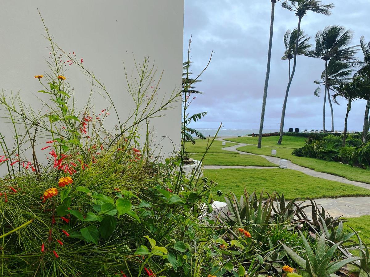 Cabarete Beachfront Condos At Nanny Estate C-5 外观 照片