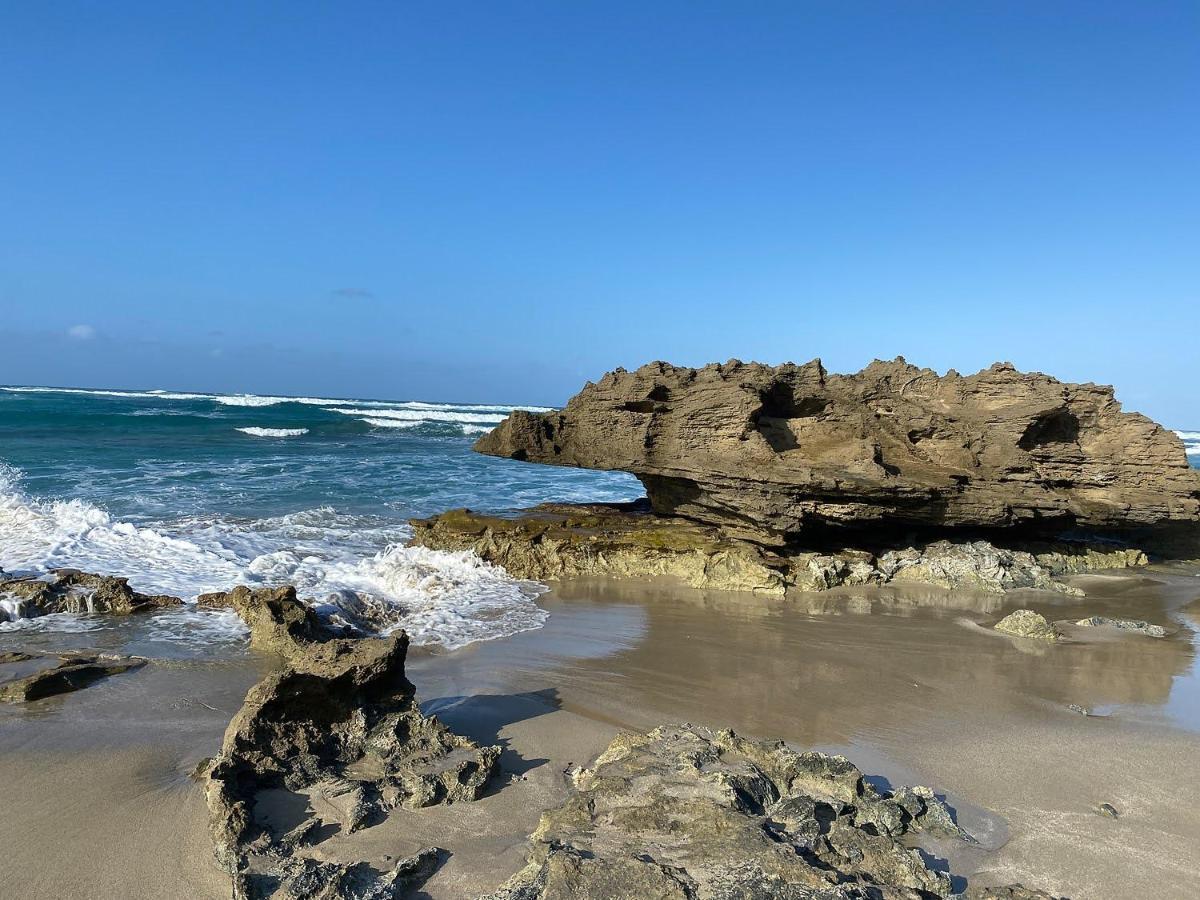 Cabarete Beachfront Condos At Nanny Estate C-5 外观 照片